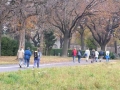 Urnenhain Zentralfriedhof