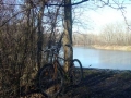 Lobau