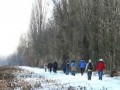 Lobau