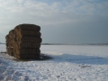 Marchfeld