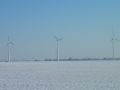 Windpark im Marchfeld