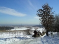Anstieg auf den Bisamberg